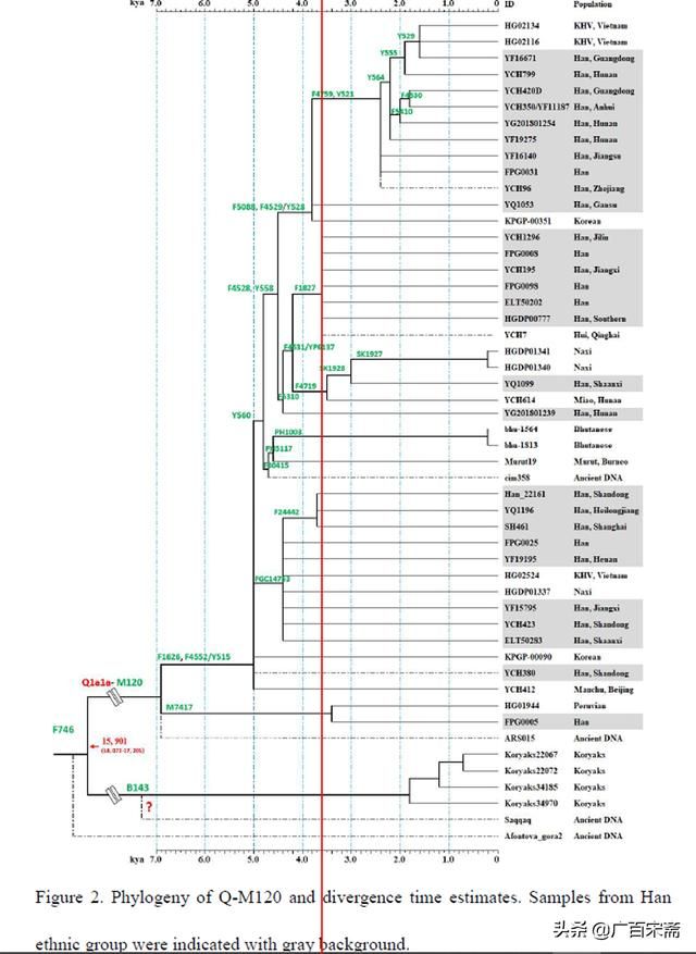而上述国家和地区广泛分布拥有M120的人们这一事实，再次充分证明我的华夏文明起源和迁