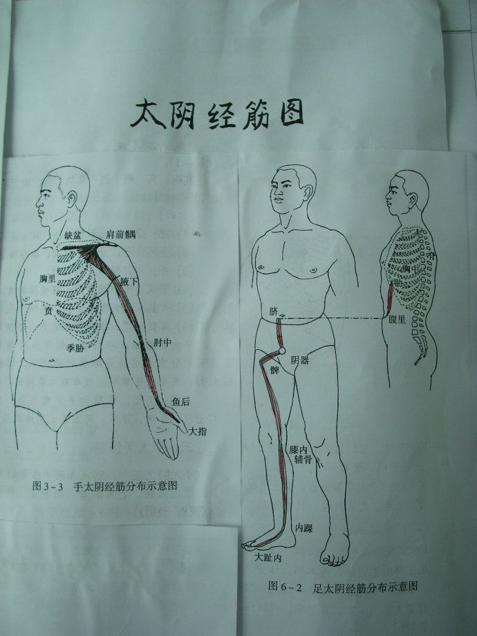 经络在太极拳演练中的运动规律