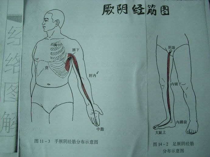 经络在太极拳演练中的运动规律