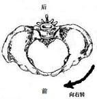 传统武术探索