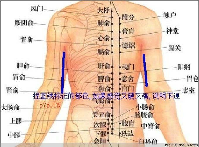 多种妇科疾病，一搓八髎就好