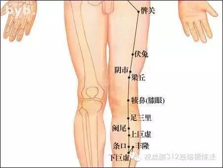 十大总穴歌诀