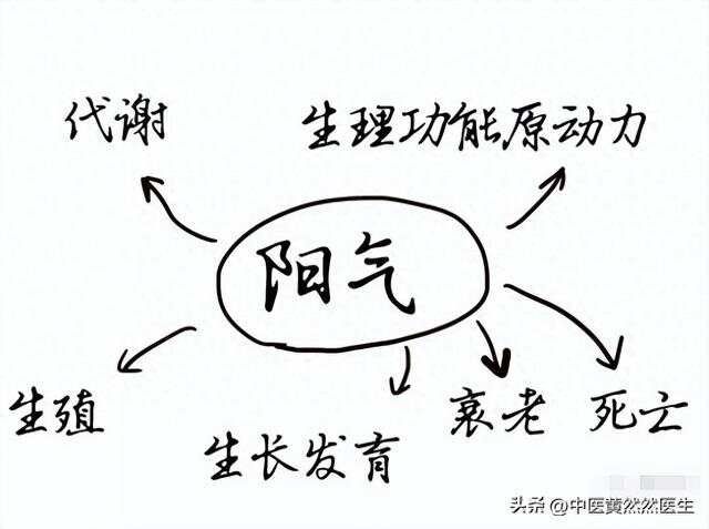 扶阳祛病三步走：第一纳阳入肾，第二助阳化气，第三固阳敛阳