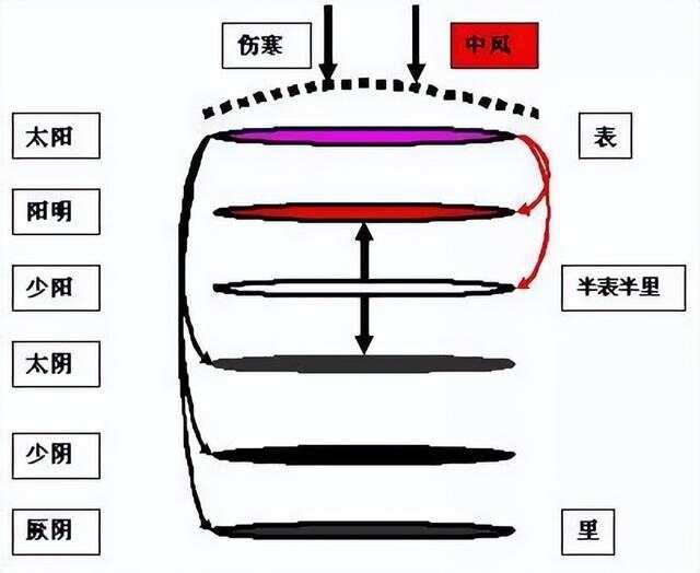 学中医必看！《伤寒论》六经辨证的含义及思维导图