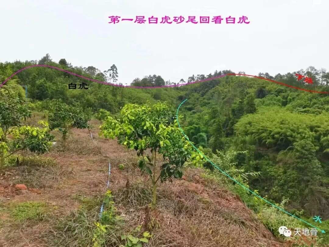 富地局紧，仓库多
