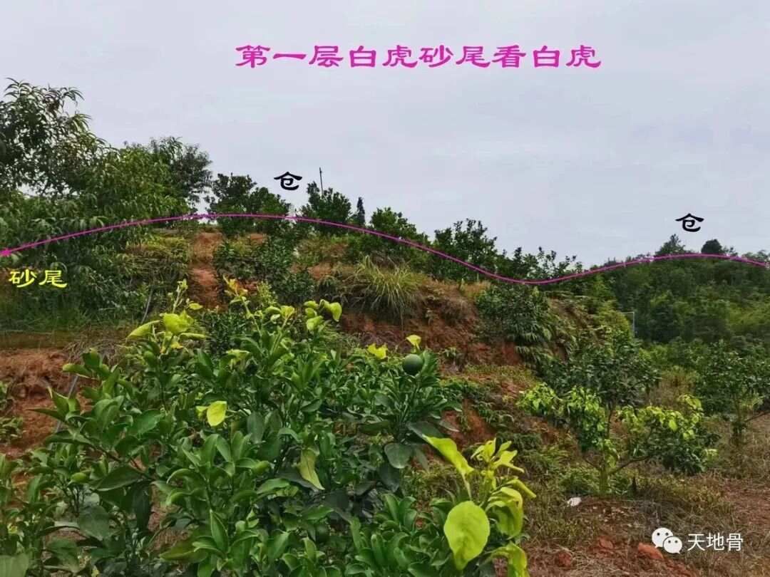 富地局紧，仓库多