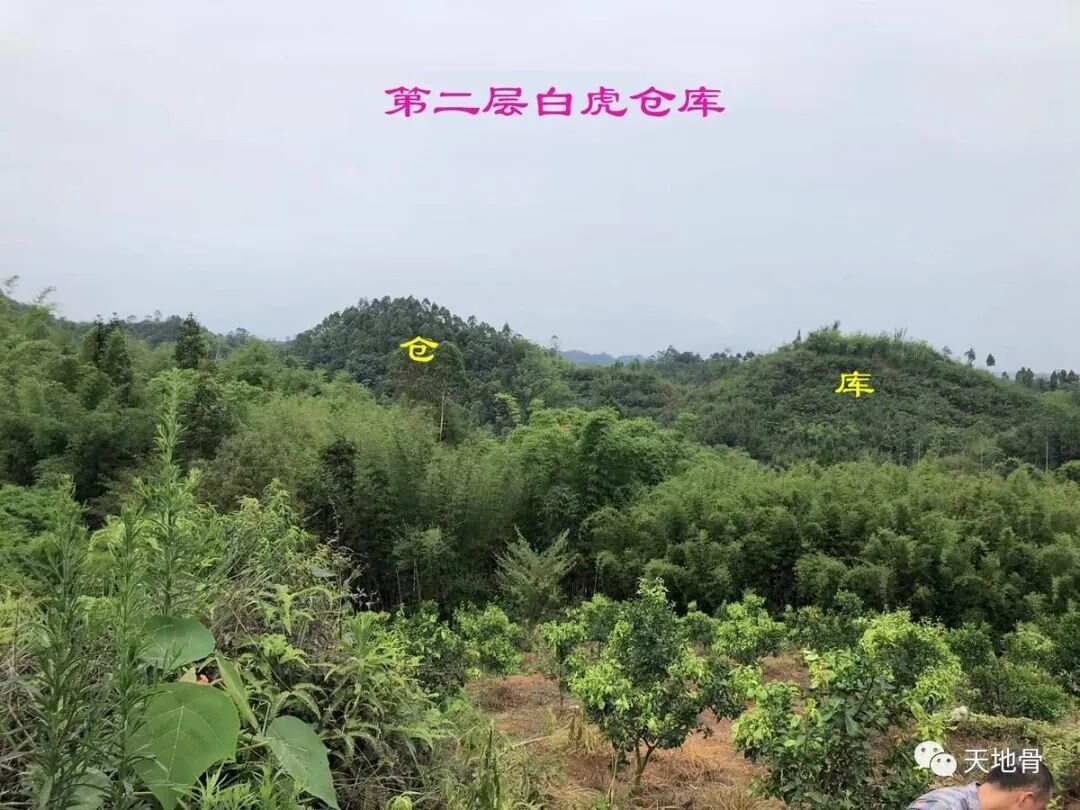 富地局紧，仓库多