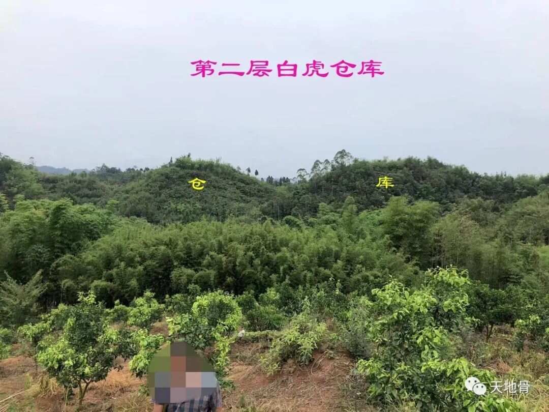 富地局紧，仓库多