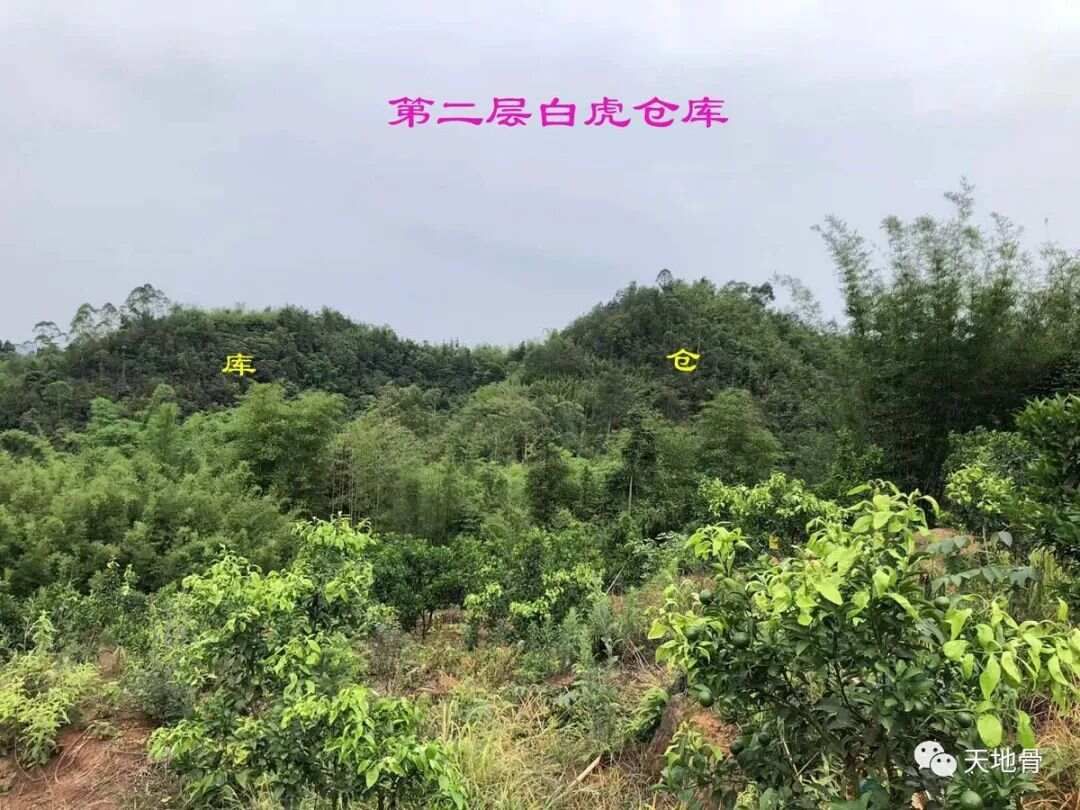 富地局紧，仓库多