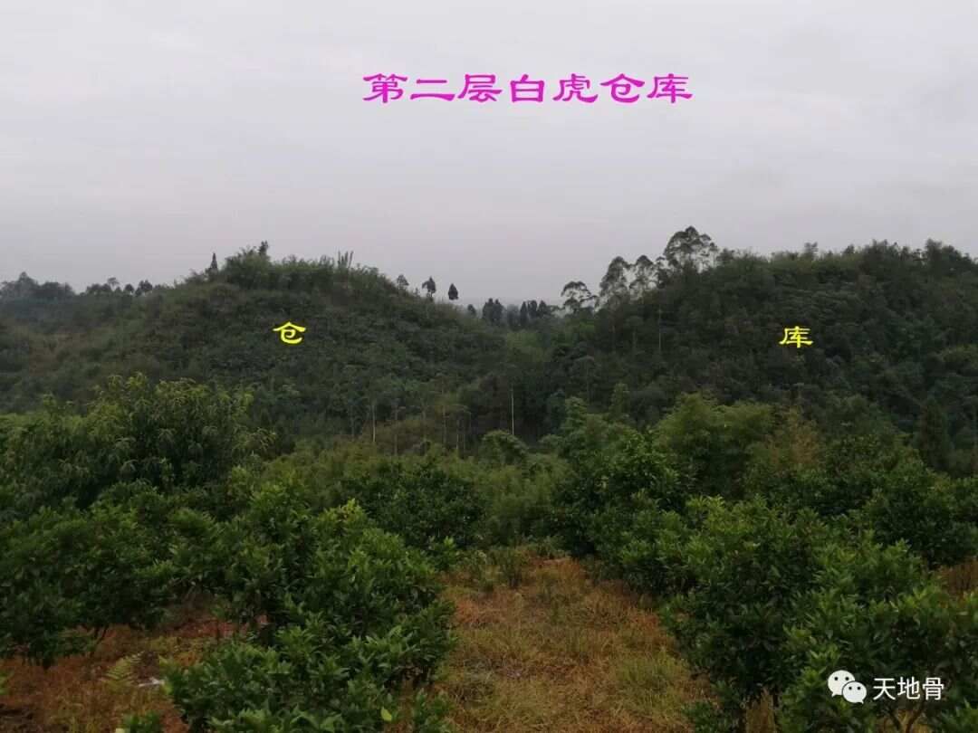 富地局紧，仓库多