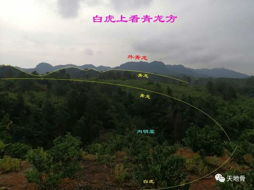 富地局紧，仓库多