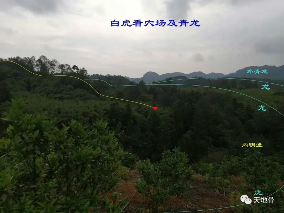 富地局紧，仓库多