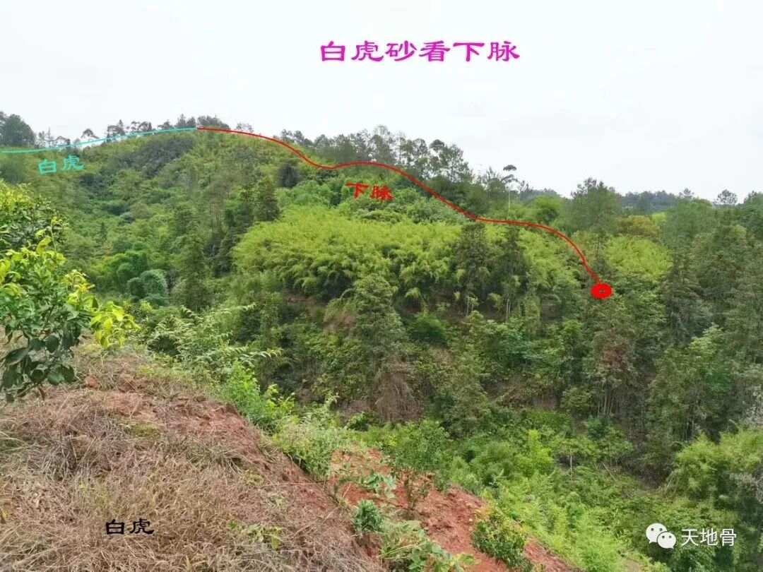 富地局紧，仓库多