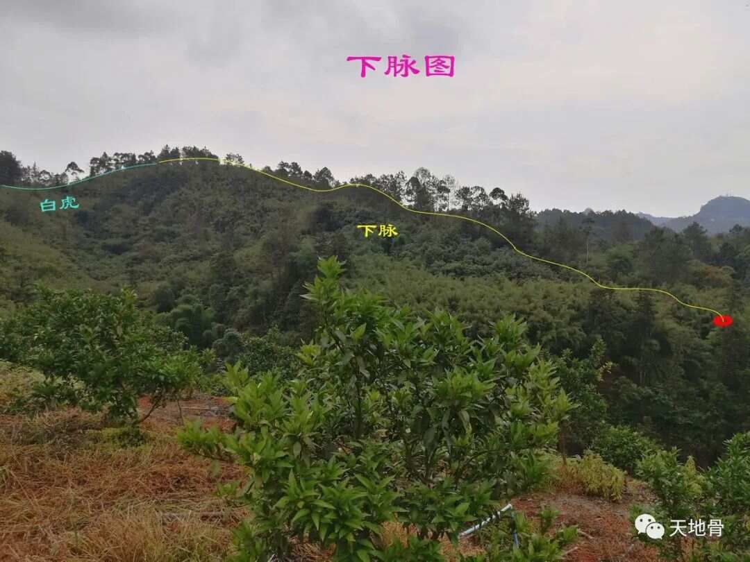 富地局紧，仓库多