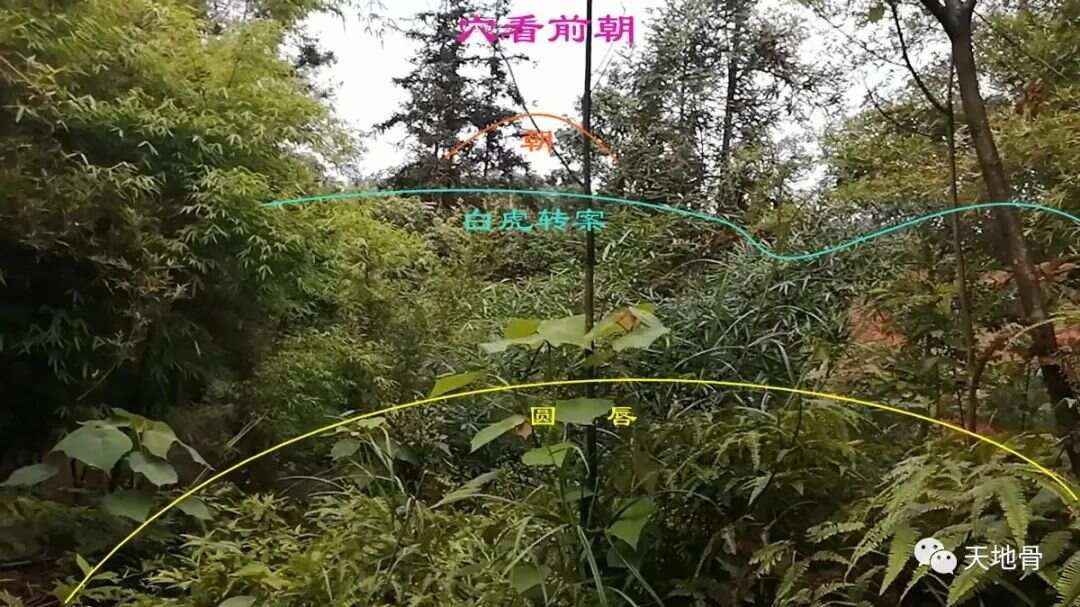 富地局紧，仓库多