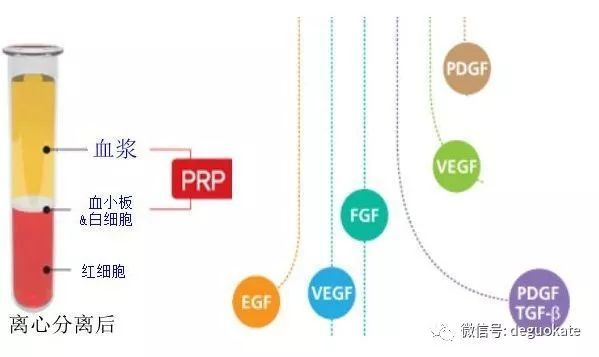 临床实用关节腔注射常用药物的比较（骨性关节炎）