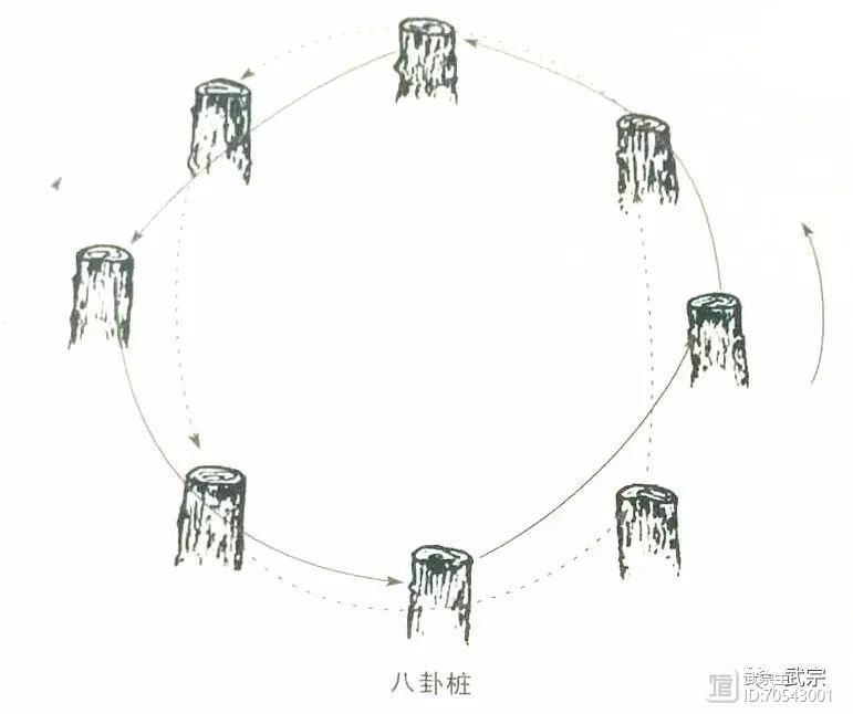 九宫绝杀十八腿之“踏罡步斗九宫桩”