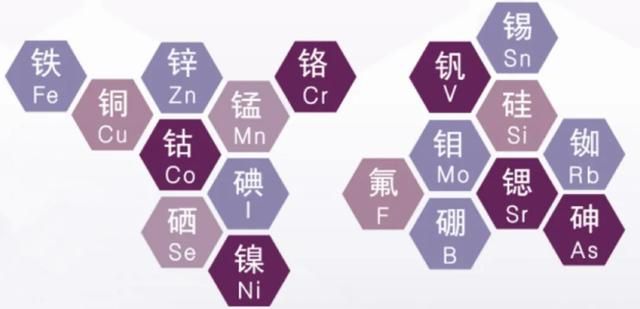 一分钟教你看懂 | 人体中的微量元素