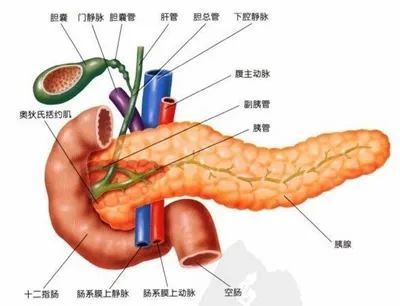 通俗解说糖尿病