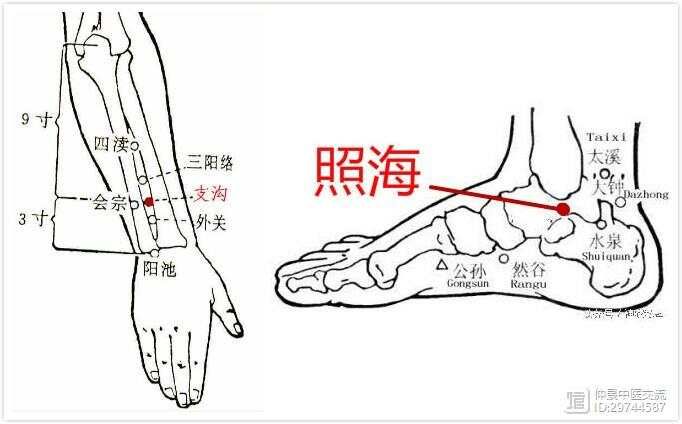 第四章、十二、手少阳三焦经（左右四十六穴)