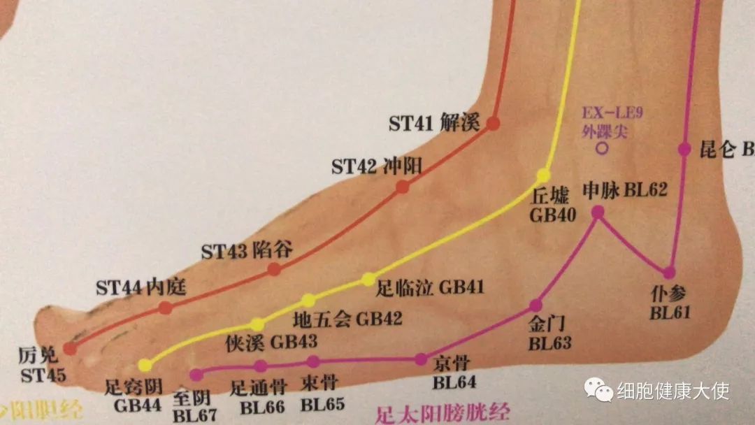 八脉交会穴  下合穴