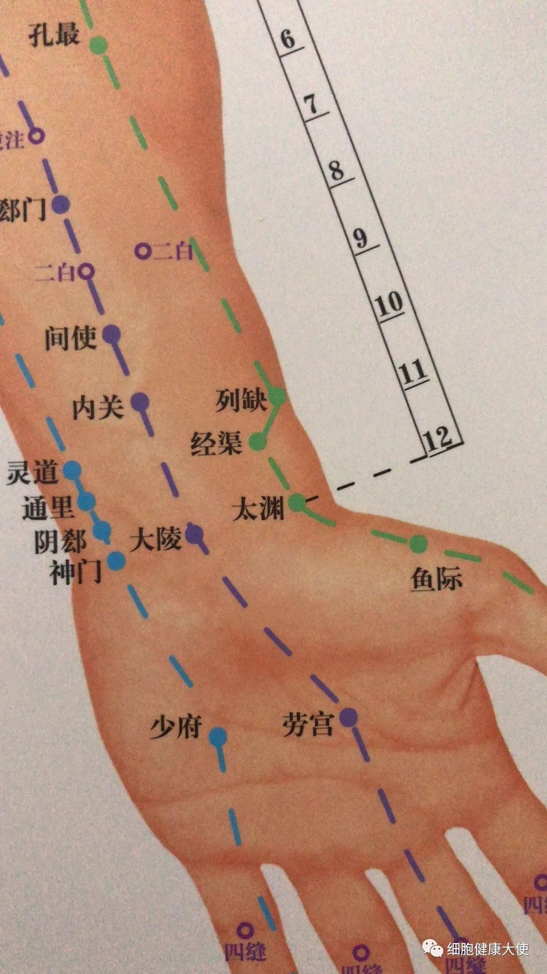 八脉交会穴  下合穴