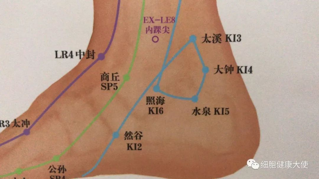 八脉交会穴  下合穴