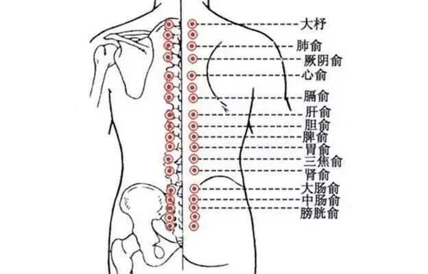 立秋后“清废水” | 刮痧这条经，通全身“下水道”