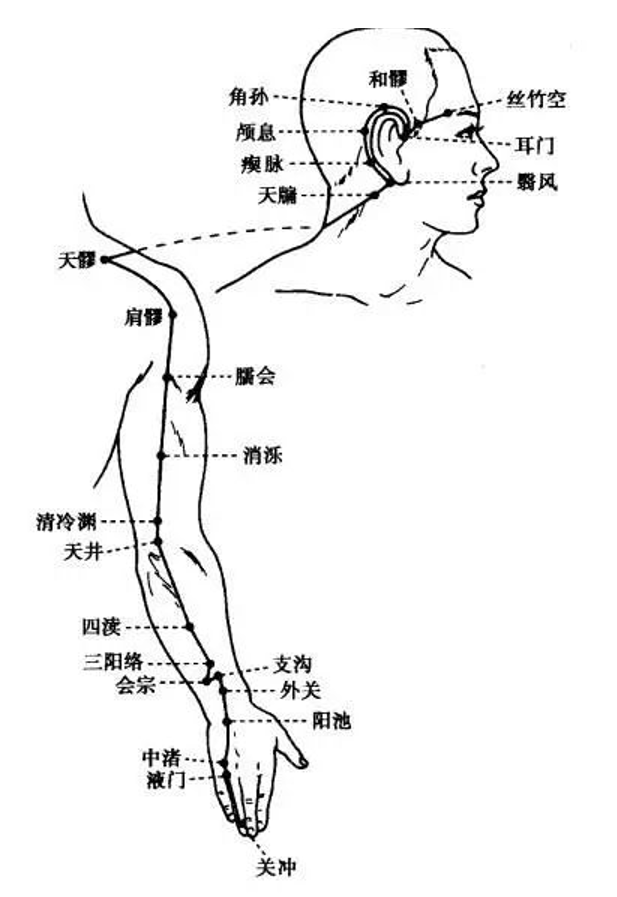 立秋后“清废水” | 刮痧这条经，通全身“下水道”