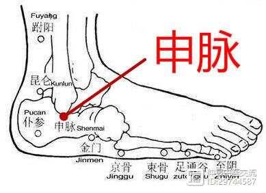 第六章、奇经八脉