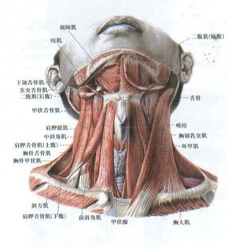 手麻的秘传绝杀疗法