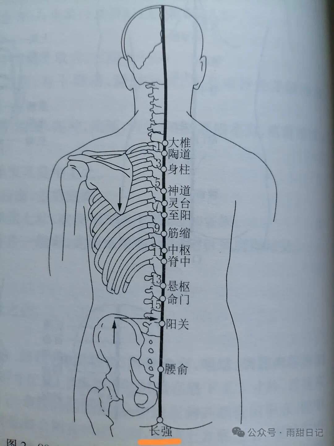 1个让痔疮悄悄“自愈”的方法（不是提肛），你一定要试试