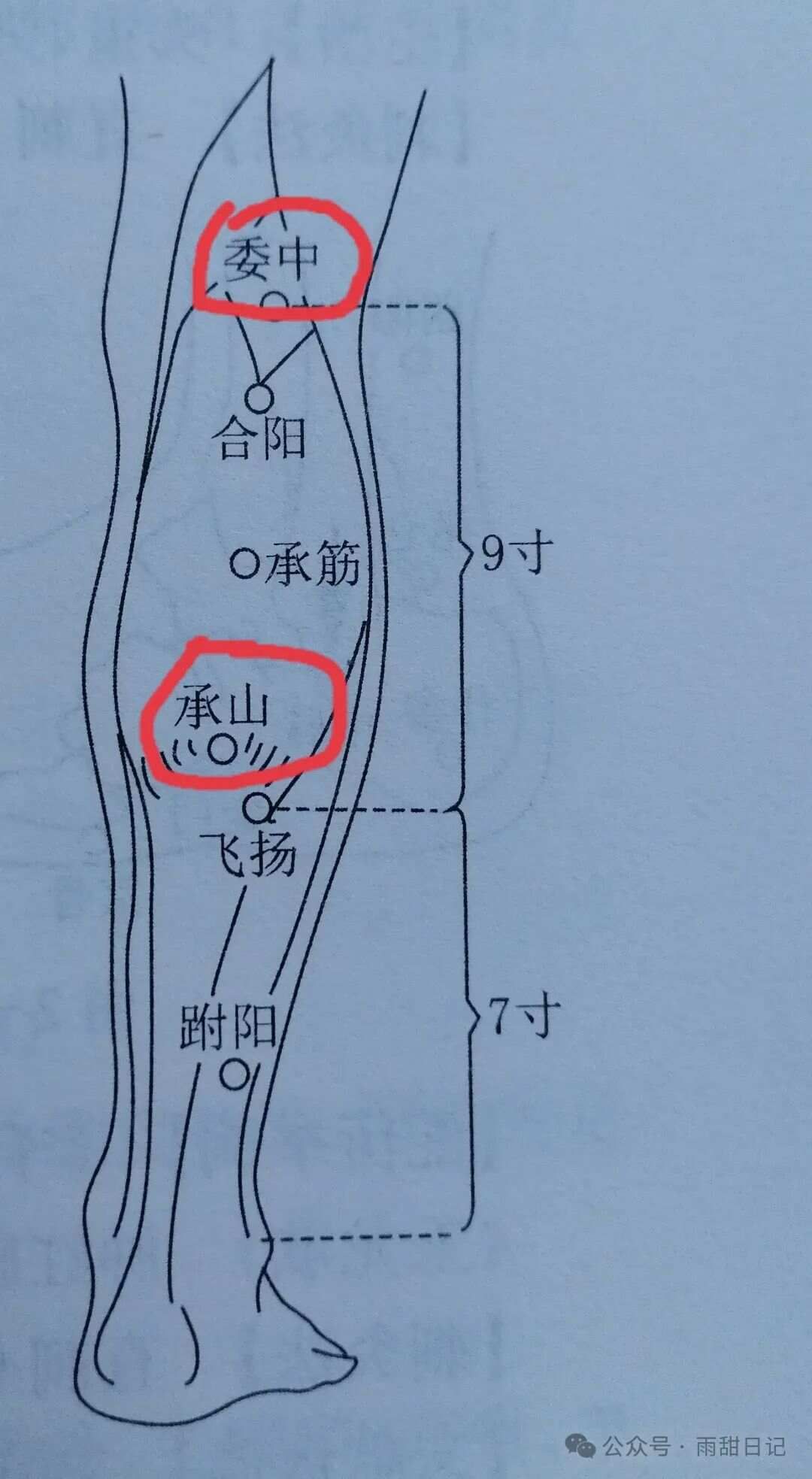 1个让痔疮悄悄“自愈”的方法（不是提肛），你一定要试试