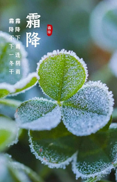 《夜航船》解析—卷一·天文部·时令（七）—节气·...