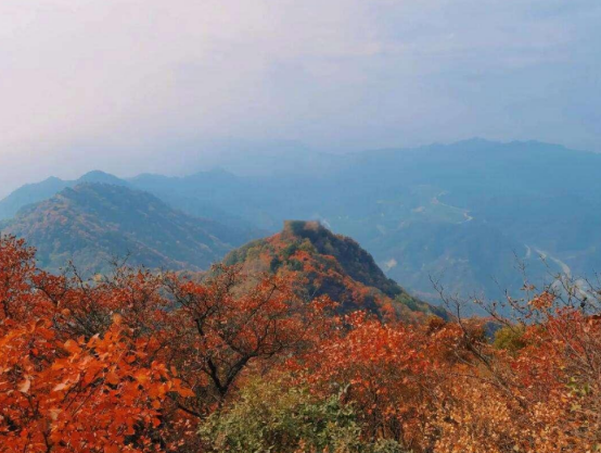 《夜航船》解析—卷一·天文部·时令（七）—节气·...