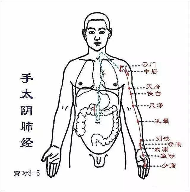 您不知道的道医‘摸骨’秘密全都在这里！