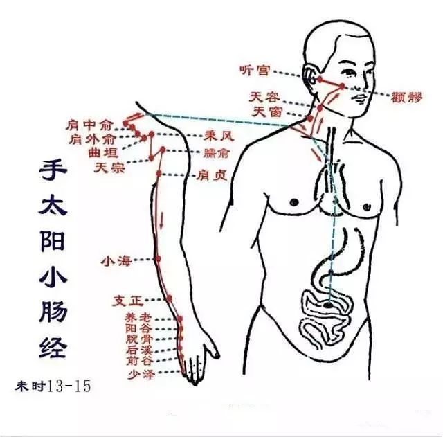 您不知道的道医‘摸骨’秘密全都在这里！