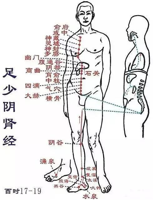 您不知道的道医‘摸骨’秘密全都在这里！