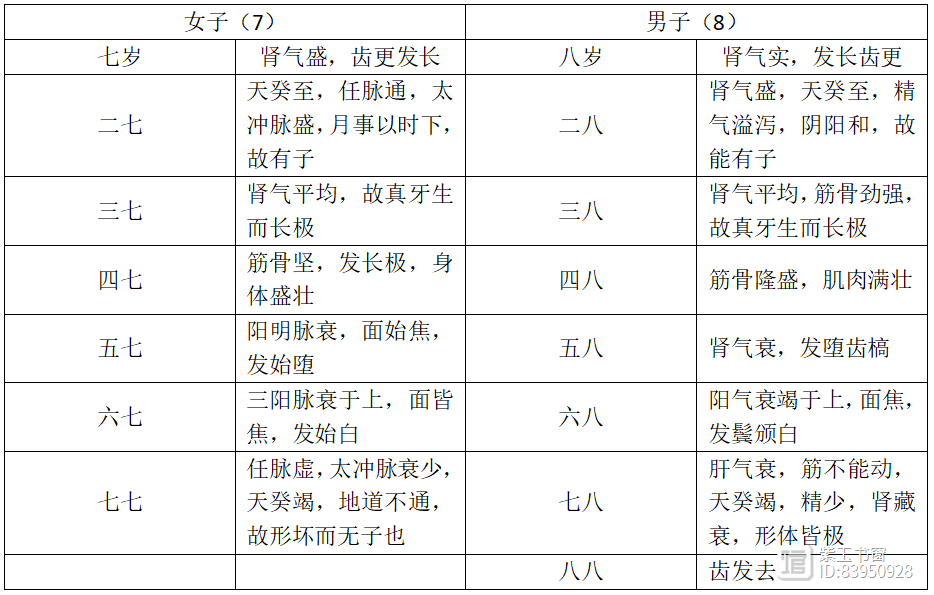 中医基本学说——阴阳