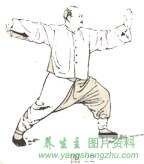 杨式太极拳图解(85式***)(1~14)