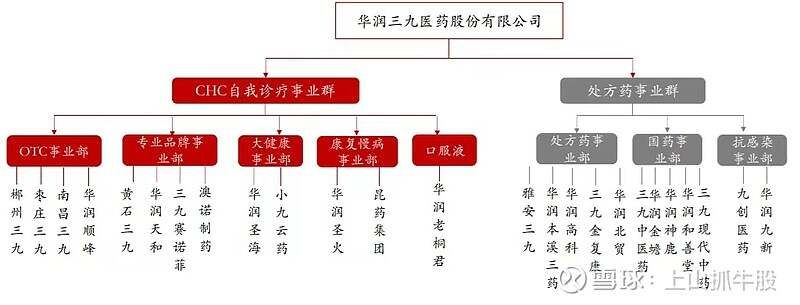 医药行业最赚钱的十大龙头公司梳理（干货） 第十名： 华润三九  ...