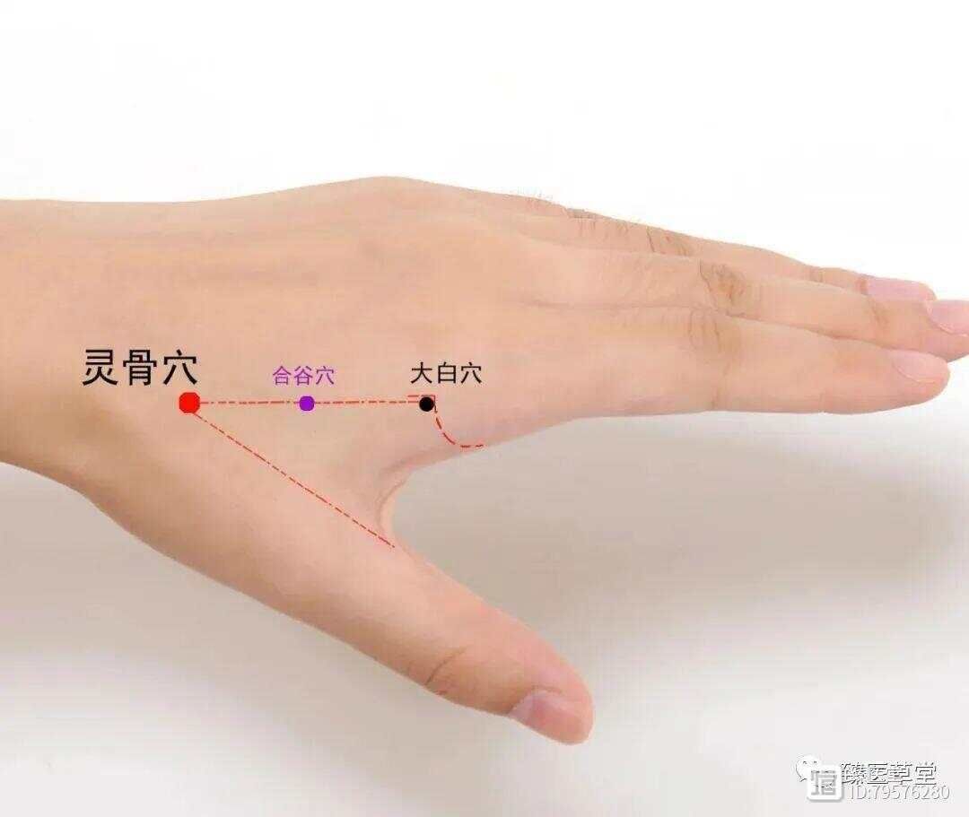 蠢子医脉针琐谈-灵骨大白的应用