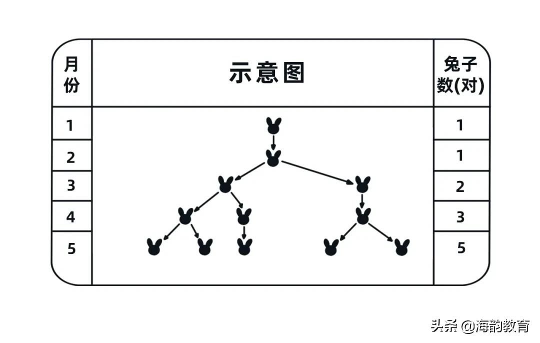 海韵教育丨数学故事——斐波那契数列