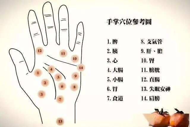 人体手部穴位图. 手掌穴位按摩图解大全