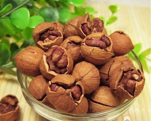 《中医特效处方集》：胆结石之中医处方两则！