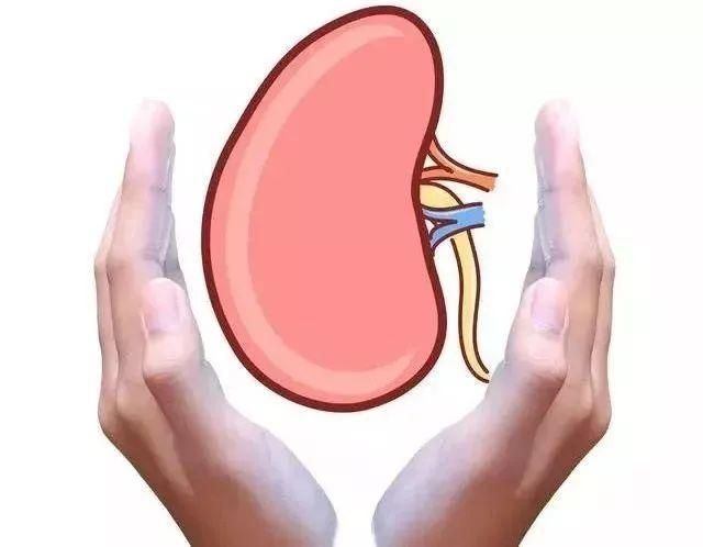 肾阴虚、肾阳虚，三招辨别，两者补法不一样，弄错了更伤肾！
