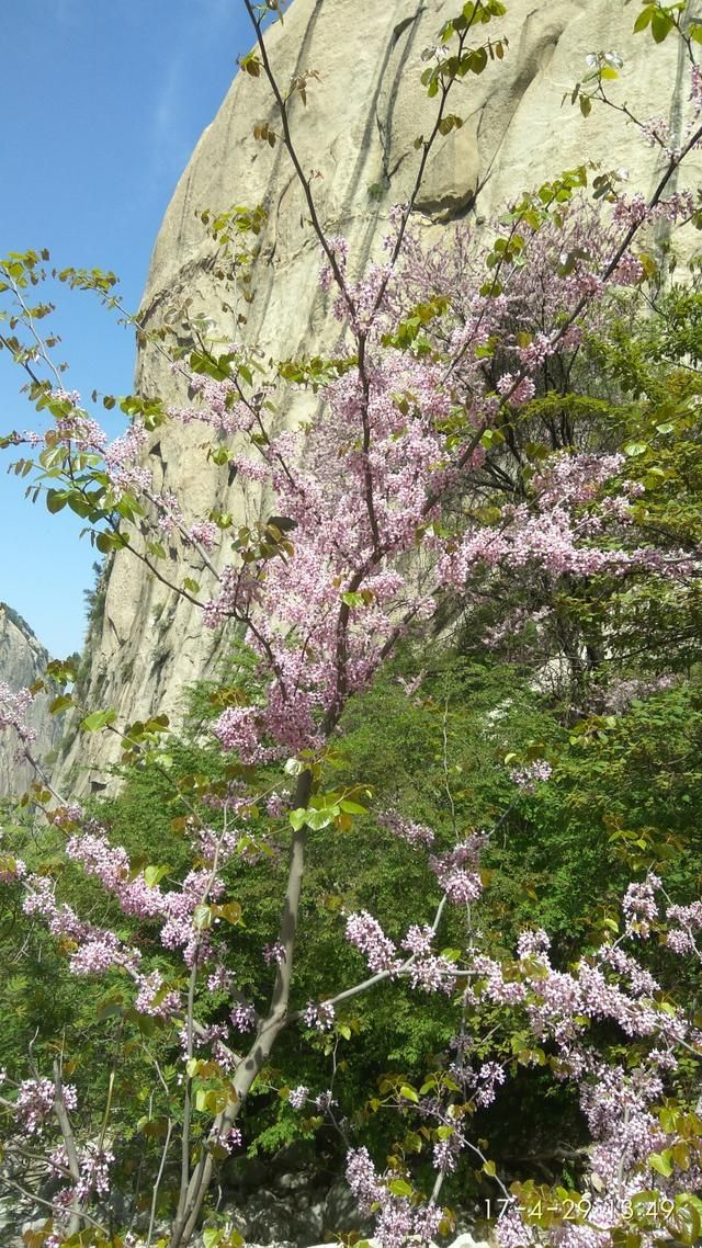 “智取华山路”——华山的第二条登山道