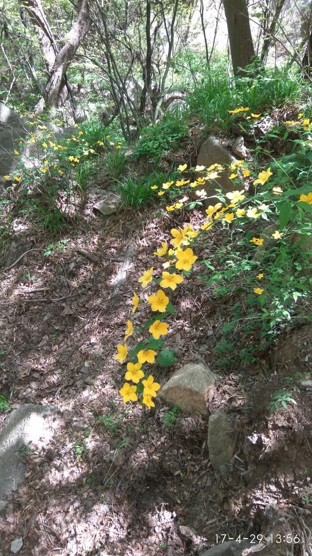 “智取华山路”——华山的第二条登山道