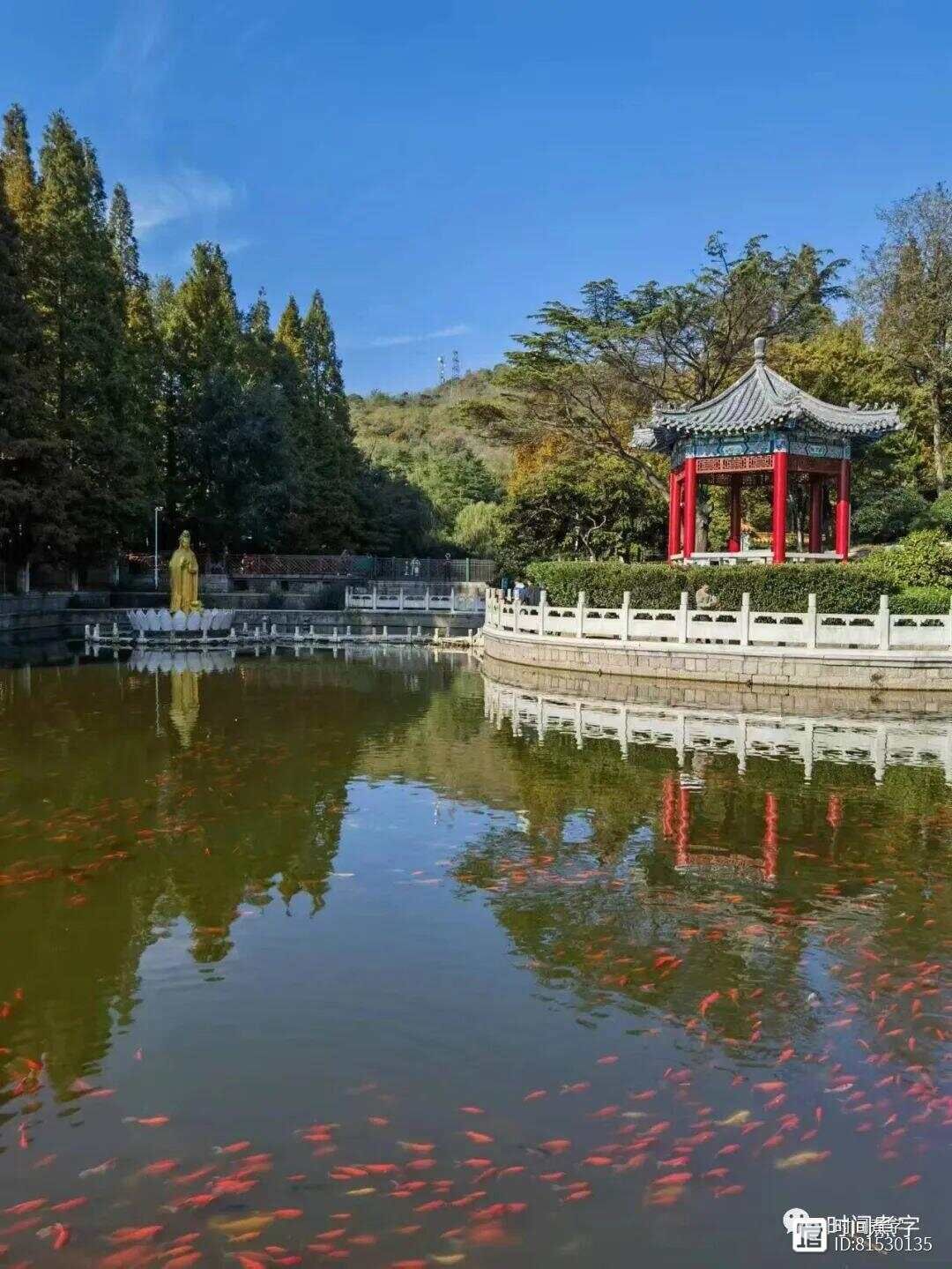 一念起，万物生｜幽幽静静的湛山寺