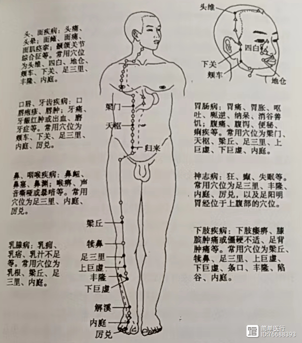 轻松学经穴人体十四经之：胃经的临床运用